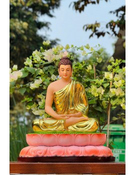 Tượng Phật Bổn Sư Thích Ca Nam Tông Thiền Định ! Size : 55cm