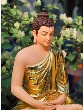 Tượng Phật Bổn Sư Thích Ca Nam Tông Thiền Định ! Size : 55cm