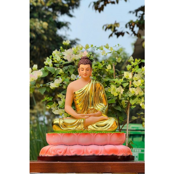 Tượng Phật Bổn Sư Thích Ca Nam Tông Thiền Định ! Size : 55cm